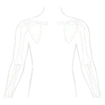 Image Chiropraxie épaules et bras