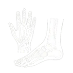 Image Chiropraxie Mains et Pieds